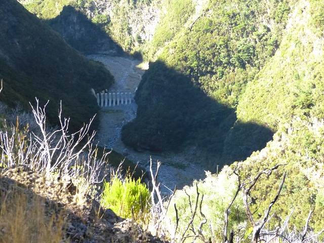 19 July 2015 Escadinhas do Menino Jesus — Climb to the Levada do Barreiro — photo 4