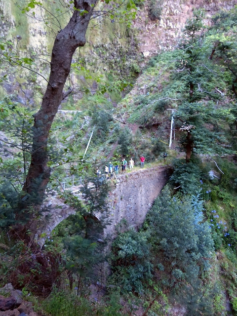 19 July 2015 Escadinhas do Menino Jesus — From Corujeira to the Centro Tematico da Agua — photo 7