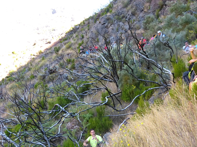 19 July 2015 Escadinhas do Menino Jesus — Climb to the Levada do Barreiro — photo 5