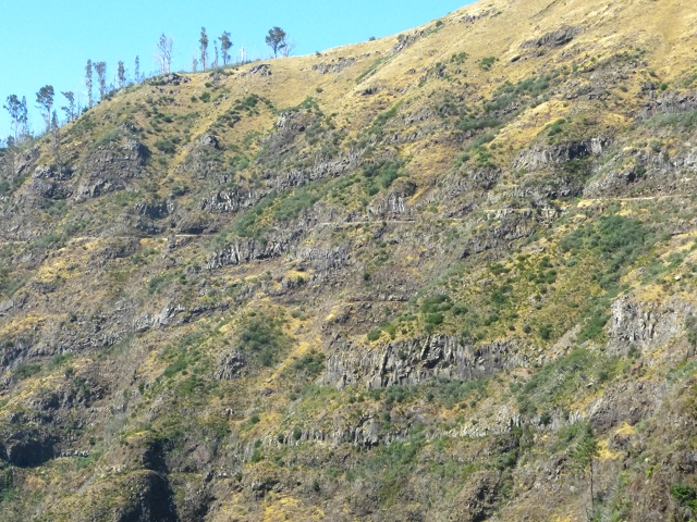 19 July 2015 Escadinhas do Menino Jesus — Climb to the Levada do Barreiro — photo 6