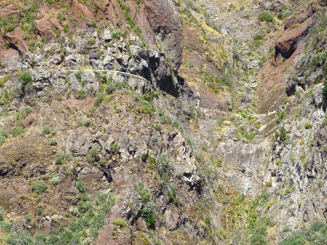 19 July 2015 Escadinhas do Menino Jesus — Climb to the Levada do Barreiro — photo 7