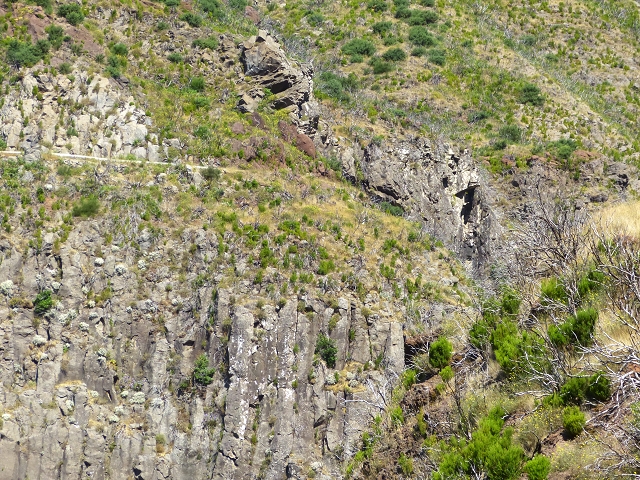 19 July 2015 Escadinhas do Menino Jesus — Climb to the Levada do Barreiro — photo 8