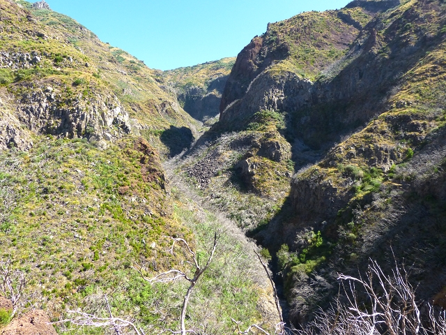19 July 2015 Escadinhas do Menino Jesus — Climb to the Levada do Barreiro — photo 10