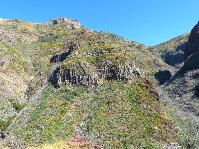 19 July 2015 Escadinhas do Menino Jesus — Climb to the Levada do Barreiro — photo 11