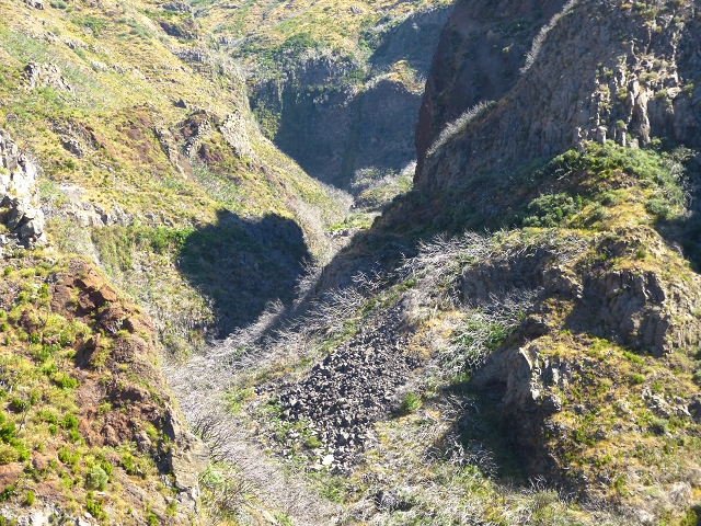 19 July 2015 Escadinhas do Menino Jesus — Climb to the Levada do Barreiro — photo 12