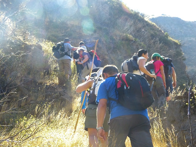 19 July 2015 Escadinhas do Menino Jesus — Climb to the Levada do Barreiro — photo 13