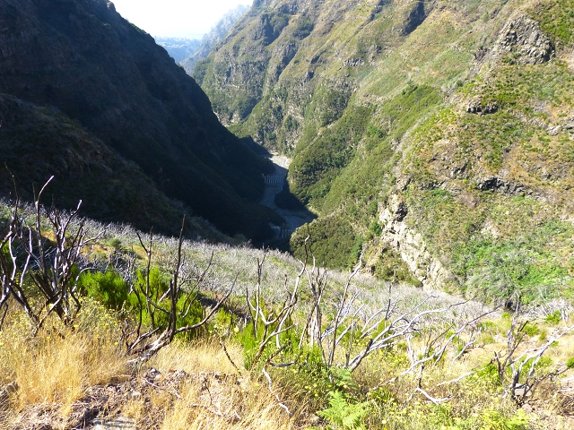 19 July 2015 Escadinhas do Menino Jesus — Climb to the Levada do Barreiro — photo 14