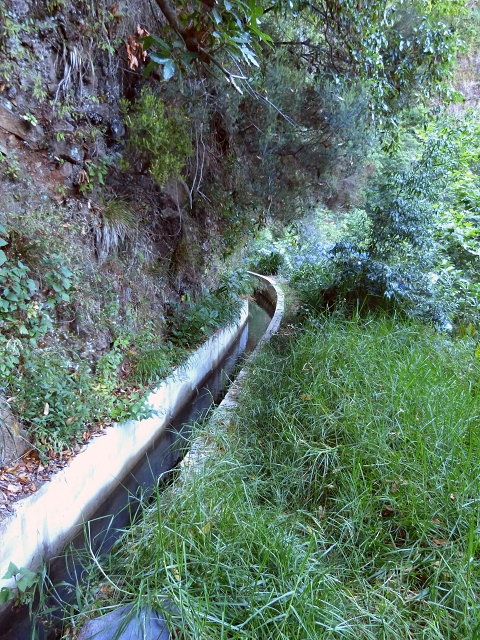 19 July 2015 Escadinhas do Menino Jesus — From Corujeira to the Centro Tematico da Agua — photo 8