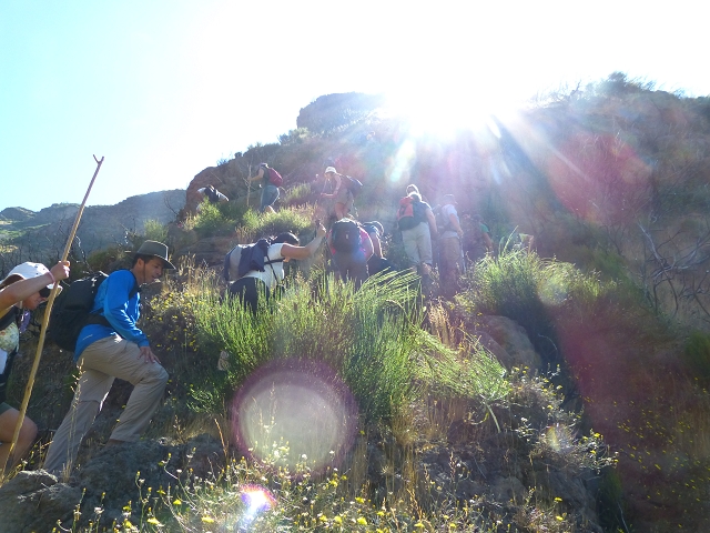 19 July 2015 Escadinhas do Menino Jesus — Climb to the Levada do Barreiro — photo 16