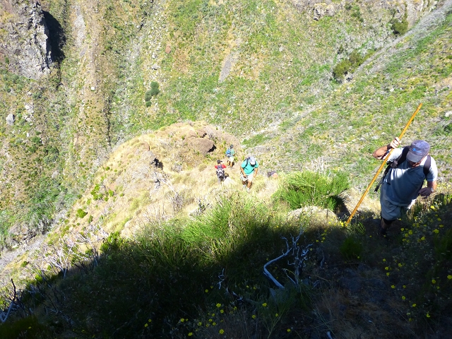 19 July 2015 Escadinhas do Menino Jesus — Climb to the Levada do Barreiro — photo 17