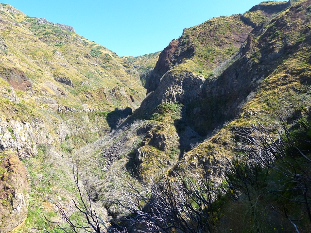 19 July 2015 Escadinhas do Menino Jesus — Climb to the Levada do Barreiro — photo 18