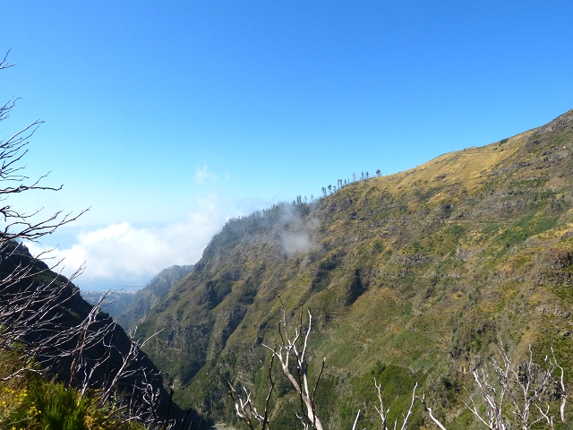 19 July 2015 Escadinhas do Menino Jesus — Climb to the Levada do Barreiro — photo 19