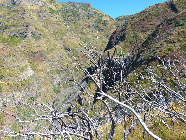 19 July 2015 Escadinhas do Menino Jesus — Climb to the Levada do Barreiro — photo 21