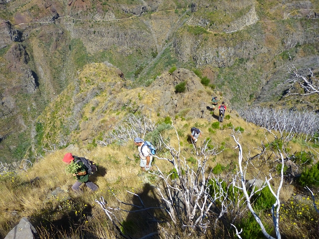19 July 2015 Escadinhas do Menino Jesus — Climb to the Levada do Barreiro — photo 22