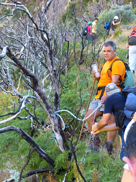 19 July 2015 Escadinhas do Menino Jesus — Climb to the Levada do Barreiro — photo 23