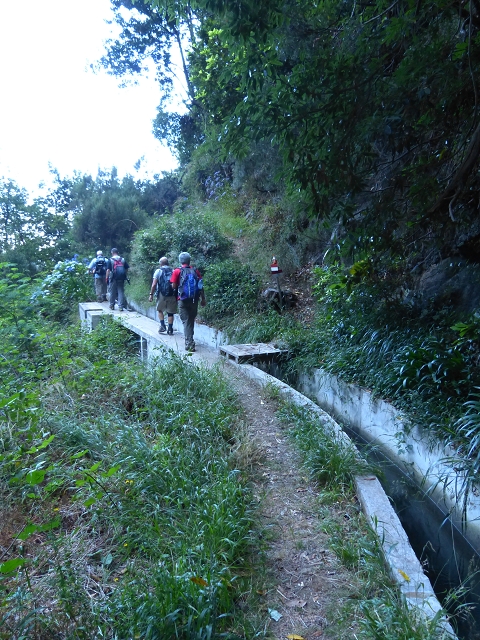 19 July 2015 Escadinhas do Menino Jesus — From Corujeira to the Centro Tematico da Agua — photo 9