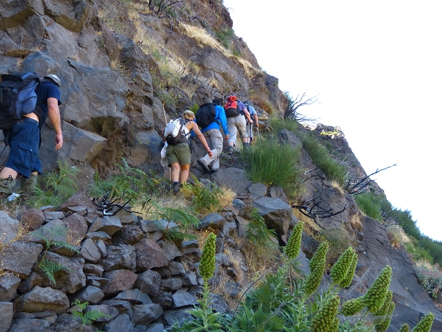 19 July 2015 Escadinhas do Menino Jesus — Climb to the Levada do Barreiro — photo 25