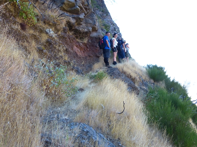 19 July 2015 Escadinhas do Menino Jesus — Climb to the Levada do Barreiro — photo 26