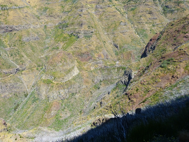 19 July 2015 Escadinhas do Menino Jesus — Climb to the Levada do Barreiro — photo 27
