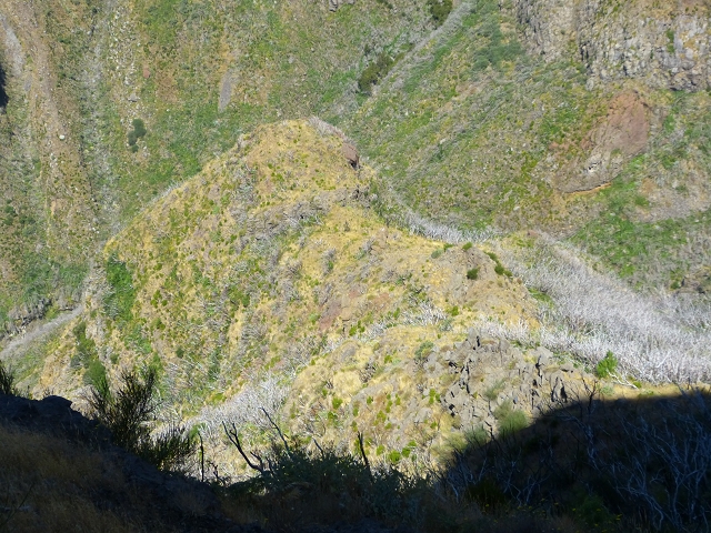 19 July 2015 Escadinhas do Menino Jesus — Climb to the Levada do Barreiro — photo 28