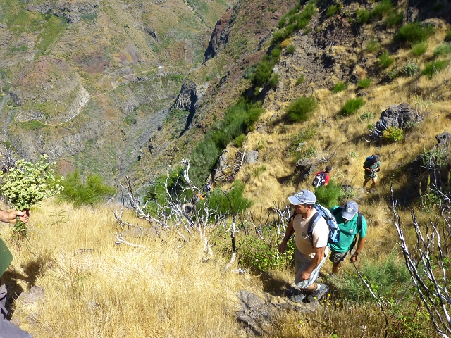 19 July 2015 Escadinhas do Menino Jesus — Climb to the Levada do Barreiro — photo 30