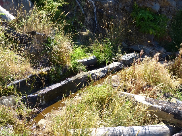 19 July 2015 Escadinhas do Menino Jesus — On the Levada do Barreiro — photo 1