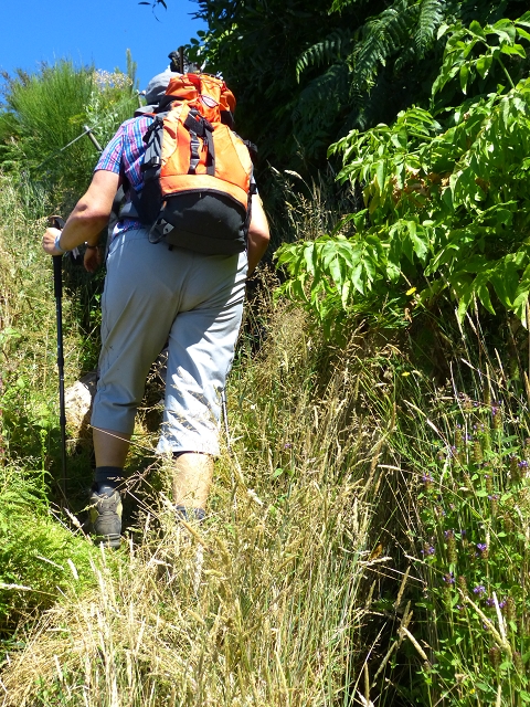 19 July 2015 Escadinhas do Menino Jesus — On the Levada do Barreiro — photo 2