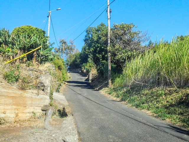 Levada da Morena — Abschnitt 3 — Foto 10