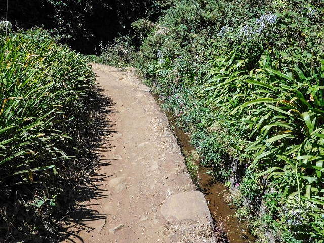 Levada da Serra do Faial von Lamaceiros/Lombo da Raiz zum Pico do Infante — Abschnitt 3 — Foto 8