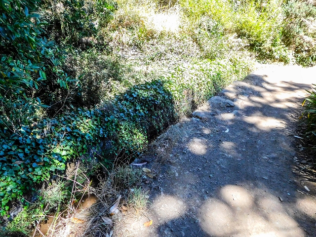 Levada da Serra do Faial von Lamaceiros/Lombo da Raiz zum Pico do Infante — Abschnitt 3 — Foto 9