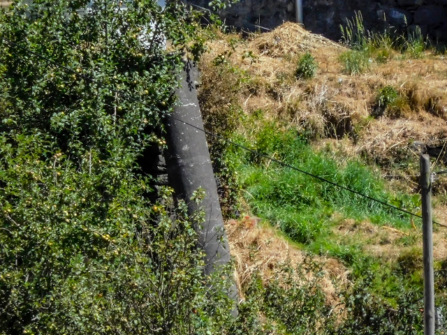 19 August 2017 On the trail of the Levada do Pico do Arvoredo in and around Camacha — From here the levada runs in pipes, but old remains can still be seen — photo 7