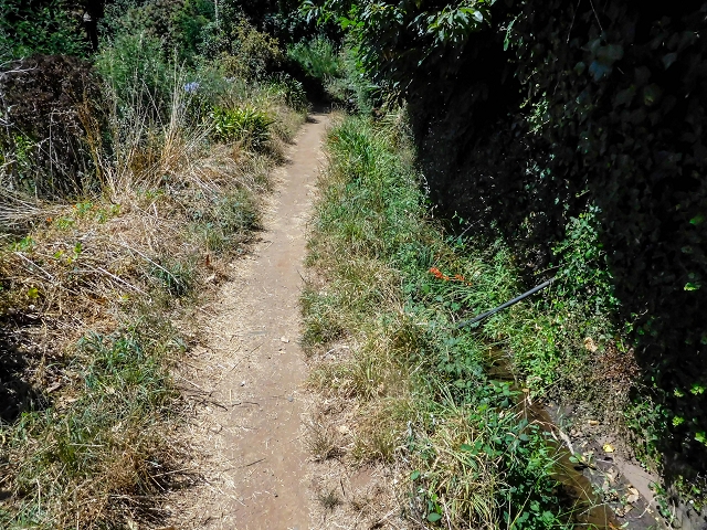 Levada da Serra do Faial von Lamaceiros/Lombo da Raiz zum Pico do Infante — Abschnitt 3 — Foto 13