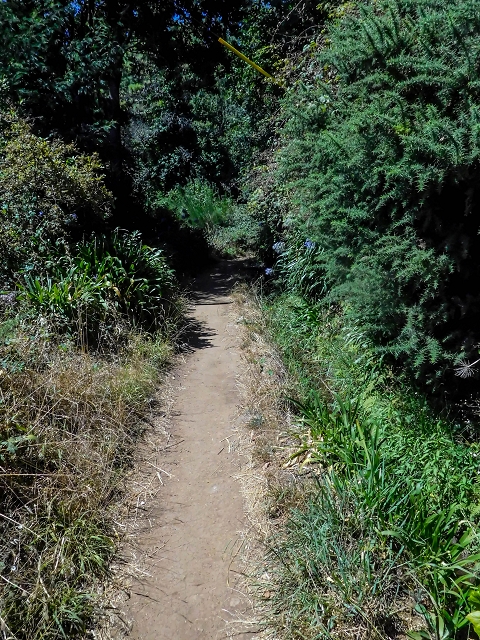 Levada da Serra do Faial von Lamaceiros/Lombo da Raiz zum Pico do Infante — Abschnitt 3 — Foto 14