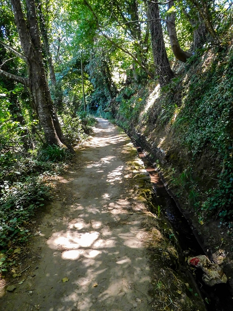 Levada da Serra do Faial von Lamaceiros/Lombo da Raiz zum Pico do Infante — Abschnitt 3 — Foto 15