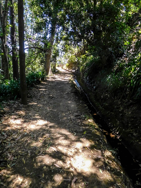 Levada da Serra do Faial von Lamaceiros/Lombo da Raiz zum Pico do Infante — Abschnitt 3 — Foto 16