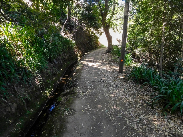Levada da Serra do Faial von Lamaceiros/Lombo da Raiz zum Pico do Infante — Abschnitt 3 — Foto 18