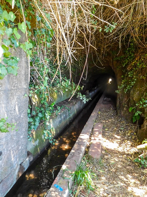 Levada dos Tornos sul — Troço 3 — foto 30