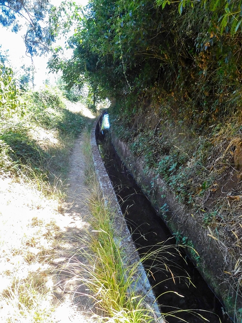 19 August 2017 On the trail of the Levada do Pico do Arvoredo in and around Camacha — On the Levada dos Tornos to the inaccessible tunnel — photo 4