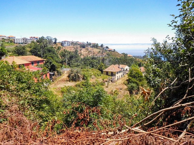 19 August 2017 On the trail of the Levada do Pico do Arvoredo in and around Camacha — On the Levada dos Tornos to the inaccessible tunnel — photo 5