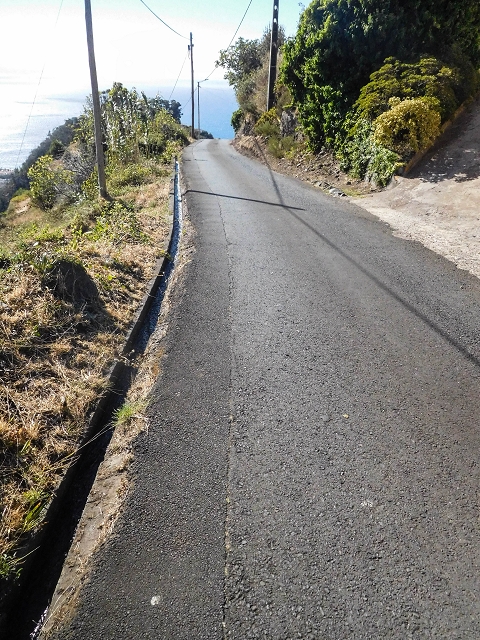Levada da Morena — Abschnitt 3 — Foto 3