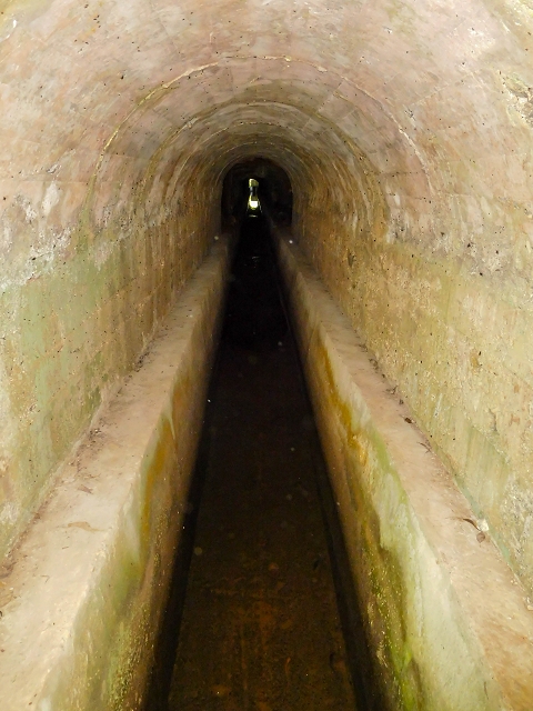 Levada dos Tornos sul — Troço 3 — foto 23