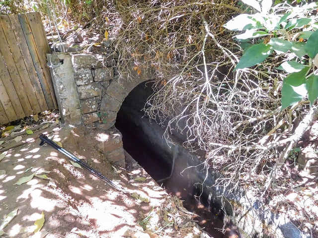 Levada dos Tornos sul — Troço 3 — foto 24