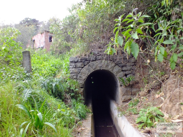 Levada dos Tornos sul — Troço 3 — foto 25