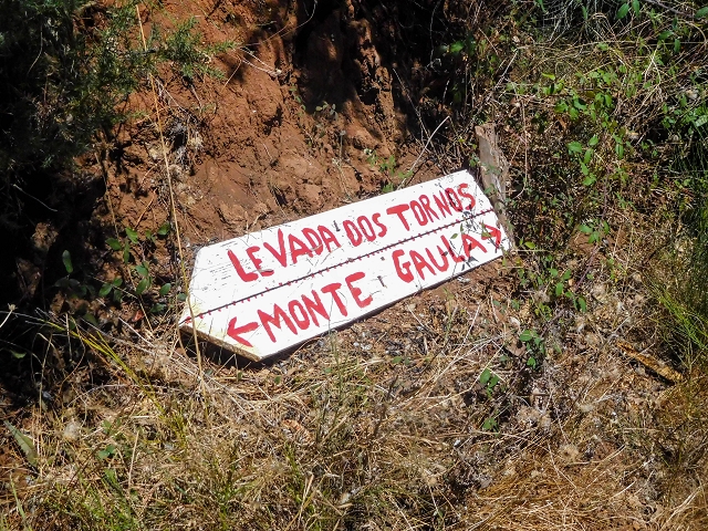 Levada dos Tornos sul — Troço 3 — foto 26