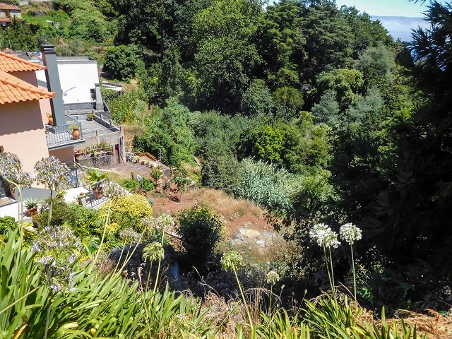 19 August 2017 On the trail of the Levada do Pico do Arvoredo in and around Camacha — Via Ribeirinha to the start of the inaccessible tunnel and the north-western exit of the Nogueira tunnel — photo 2