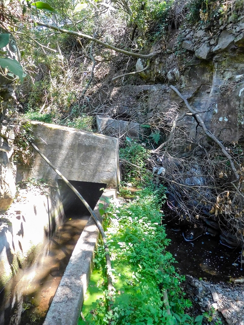 Levada dos Tornos sul — Troço 3 — foto 22