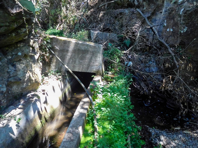 19 August 2017 On the trail of the Levada do Pico do Arvoredo in and around Camacha — Via Ribeirinha to the start of the inaccessible tunnel and the north-western exit of the Nogueira tunnel — photo 4