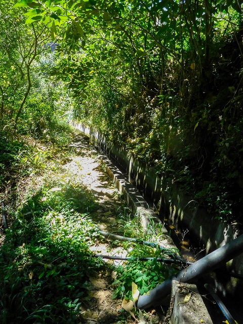 19 August 2017 On the trail of the Levada do Pico do Arvoredo in and around Camacha — Via Ribeirinha to the start of the inaccessible tunnel and the north-western exit of the Nogueira tunnel — photo 5
