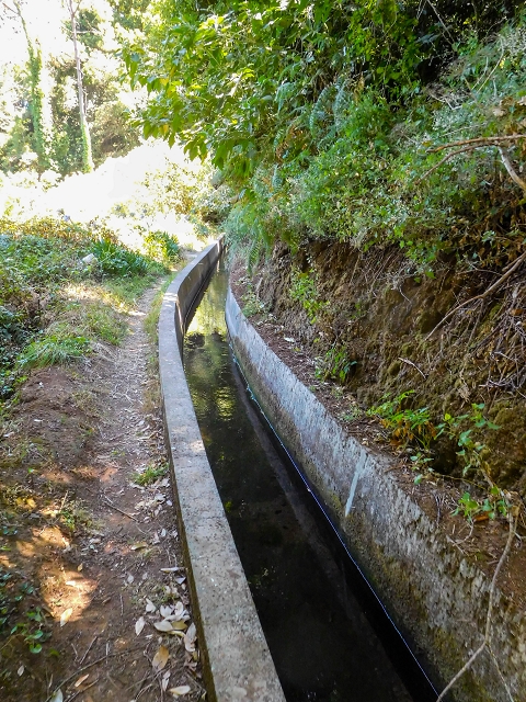 Levada dos Tornos sul — Troço 3 — foto 21