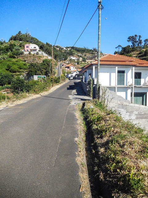 Levada da Morena — Abschnitt 3 — Foto 2